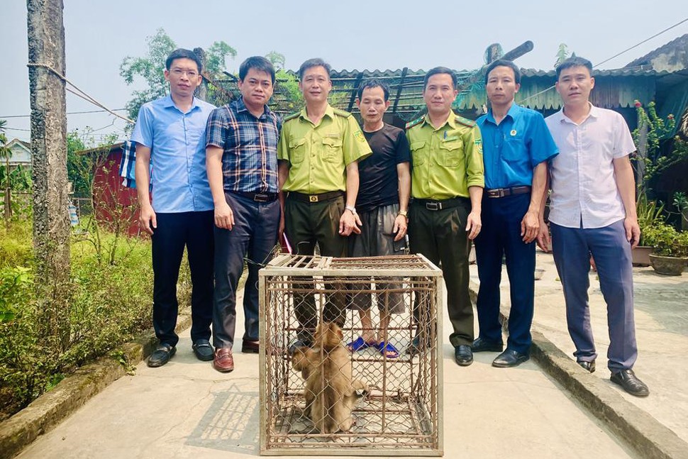 Tiếp nhận 2 cá thể khỉ từ người dân thả về Vườn Quốc gia Vũ Quang