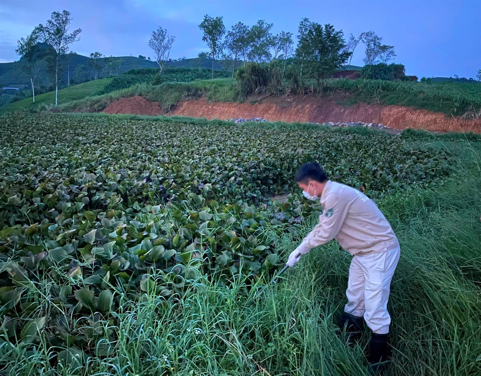 Đoàn kiểm tra đã lấy 5 mẫu nước để quan trắc, đánh giá các chỉ số