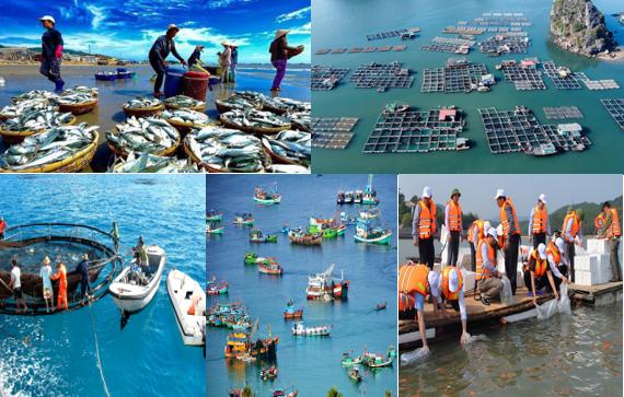 Ninh Bình: Đến năm 2030 chấm dứt sử dụng hóa chất độc hại trong nuôi trồng thủy sản