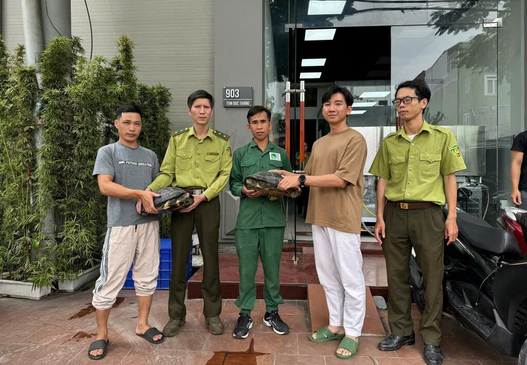 Vườn quốc gia Cúc Phương vừa tiếp nhận nhiều cá thể động vật nguy cấp, quý hiếm