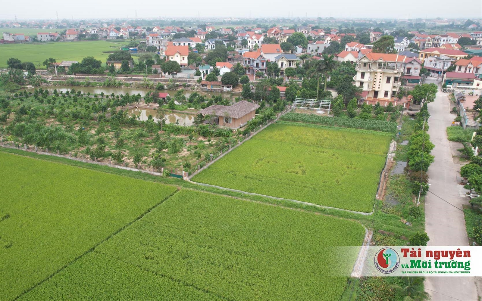 Nhà nước sẽ thu hồi đất nông nghiệp bỏ hoang từ 01/8/2024