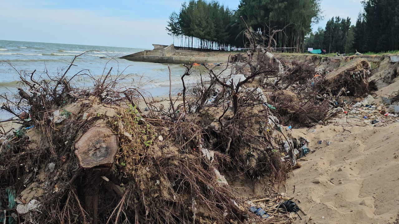 Gần 200m bờ biển bị xâm thực nghiêm trọng, Bí thư Tỉnh ủy Thanh Hóa đã đi thị sát chỉ đạo nhanh chóng khắc phục
