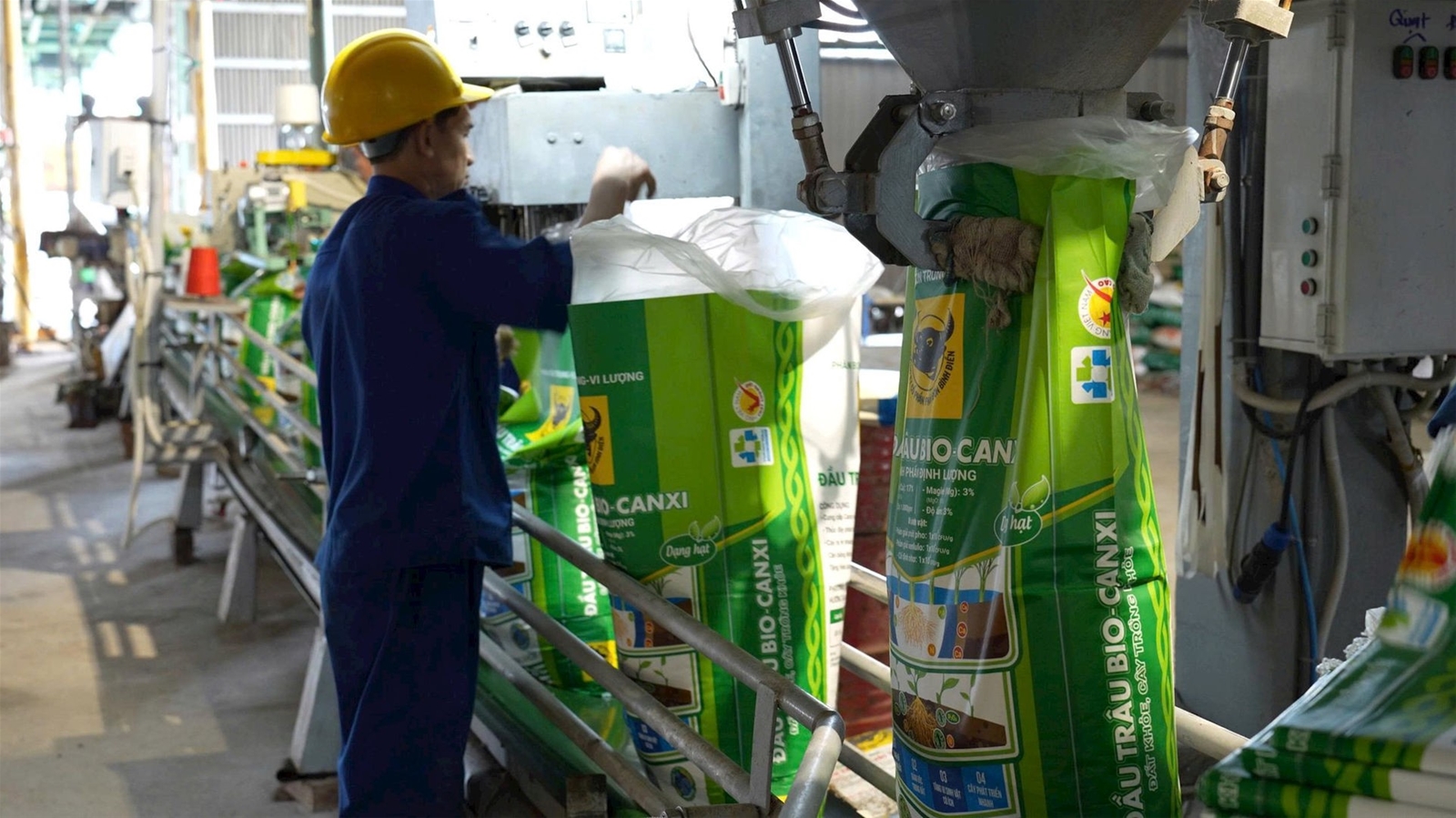 Hành trình đưa vi sinh vật vào Phân bón Đầu Trâu Bio-Canxi