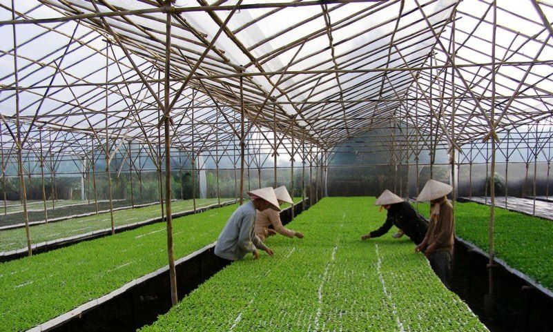 Vĩnh Phúc: Cần thêm cơ chế để ngành chế biến thực phẩm bứt phá
