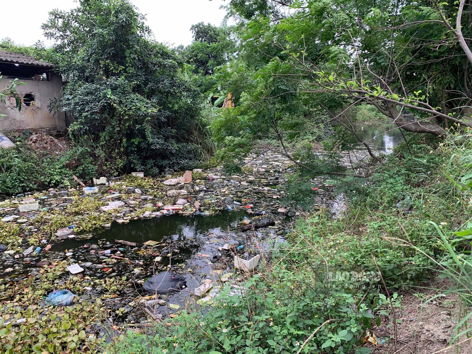 Hải Dương: Dòng kênh đen sì, đầy rác 