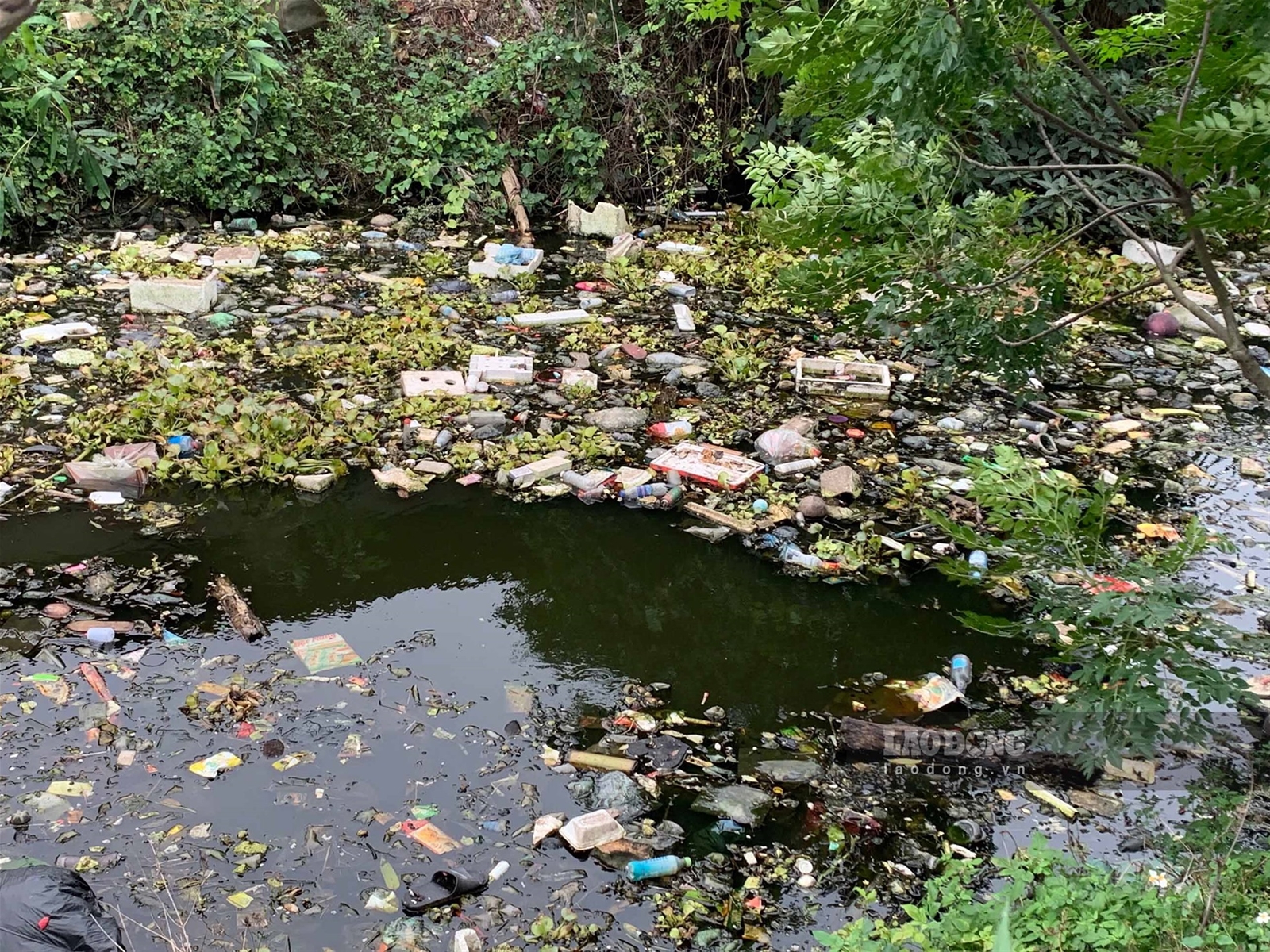 Hải Dương: Dòng kênh đen sì, đầy rác 