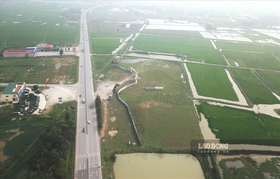 Thanh Hóa: Dự án khu công nghiệp FLC gần 300 ha trở thành bãi chăn trâu