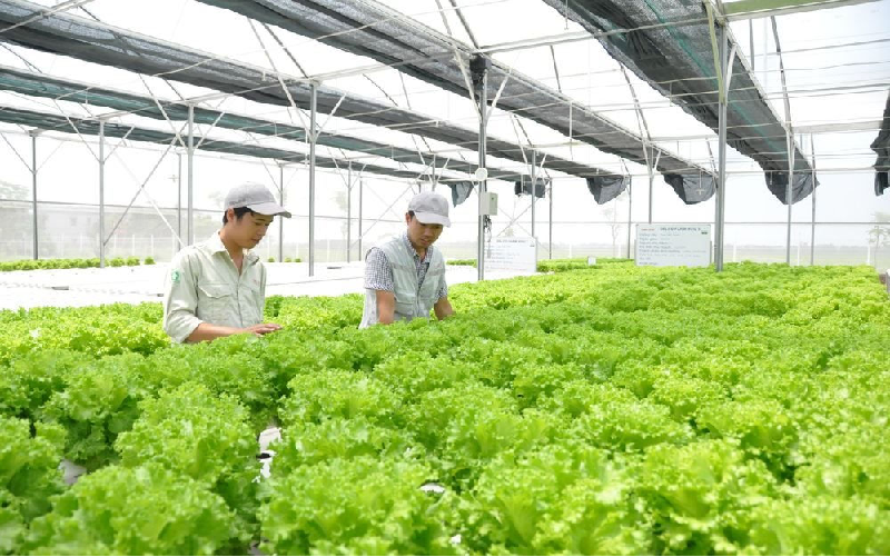 Đồng bộ các giải pháp thực hiện tăng trưởng xanh