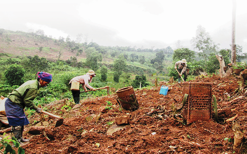 Hoàn thiện chính sách, pháp luật đất đai đối với đồng bào dân tộc thiểu số