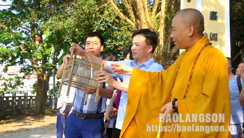 Lạng Sơn: Gần 100 đại biểu thả cá hưởng ứng Ngày Môi trường thế giới và Ngày Đại dương thế giới