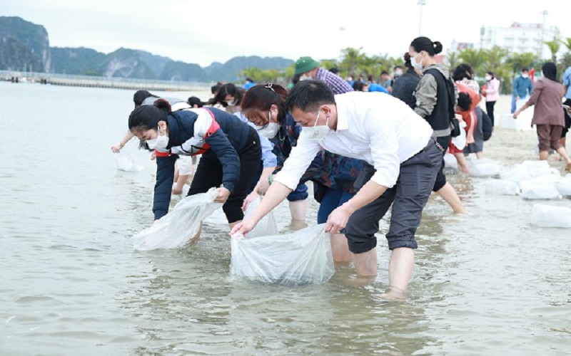 Thả giống ra biển, tái tạo nguồn lợi dưới đáy đại dương