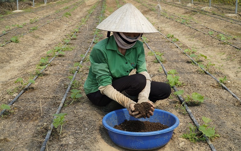 Mô hình sản xuất nông nghiệp bảo vệ môi trường ở miền núi Thanh Hóa