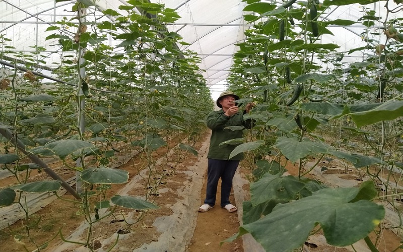 Mô hình sản xuất nông nghiệp bảo vệ môi trường ở miền núi Thanh Hóa