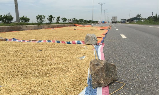Hà Nội: Xử phạt nghiêm người dân chiếm dụng lòng đường để phơi thóc