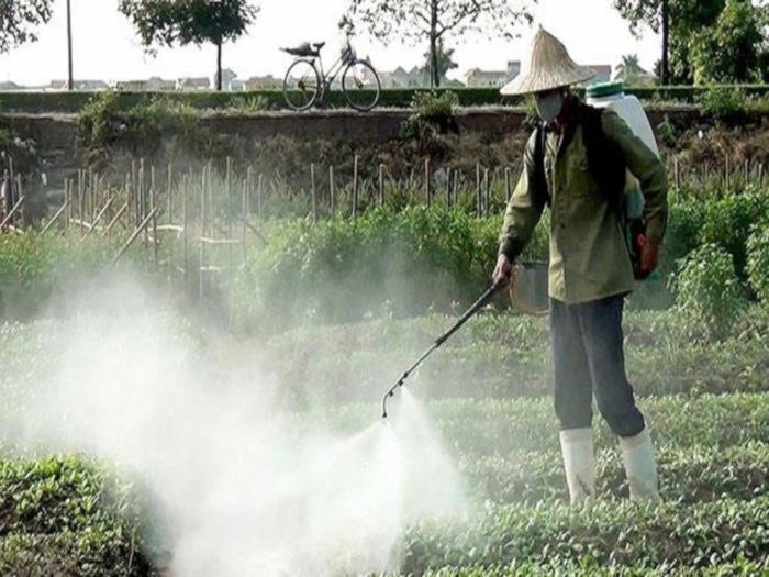 Hội Nông dân tỉnh Thái Bình xây dựng mô hình tiêu biểu trong bảo vệ môi trường