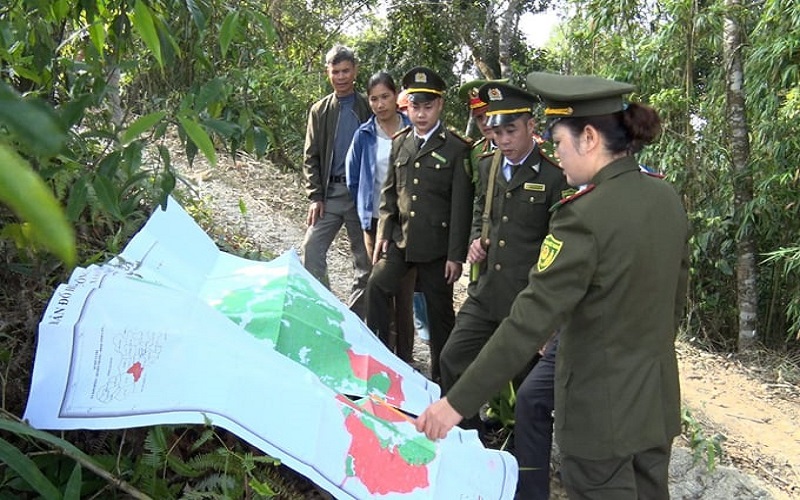 Bài cuối: Từ nền móng vững chắc đến kỳ vọng phát triển lâm nghiệp hiện đại, bền vững