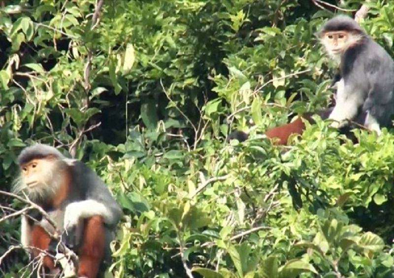 Quảng Bình: Tăng cường bảo tồn và phát triển bền vững di sản