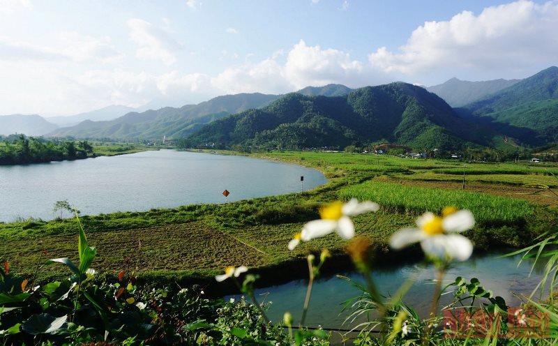 Đà Nẵng chấn chỉnh tình trạng quản lý, sử dụng đất chưa phù hợp ở Hòa Bắc