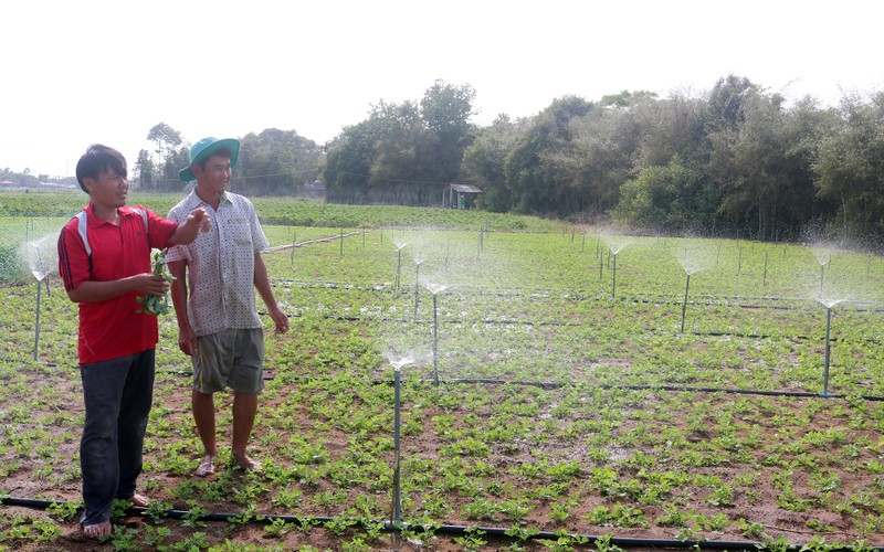 Đồng bằng sông Cửu Long chủ động ứng phó hạn, mặn
