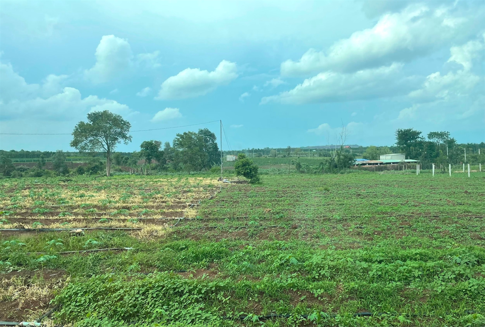 Bà Rịa - Vũng Tàu: Phát huy nguồn lực đất đai, phục vụ phát triển bền vững