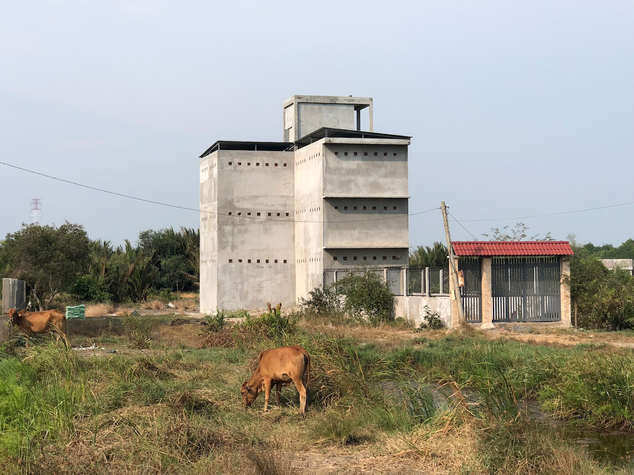 TP.HCM xem xét 4 phương án điều chỉnh bảng giá đất: Cần đảm bảo quyền lợi người dân