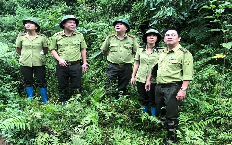 Kiểm lâm Thái Nguyên: Giữ vững màu xanh, nâng tầm quản lý rừng bền vững