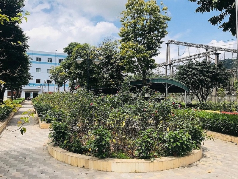 Công ty Nhiệt điện Sơn Động - TKV: Tích cực bảo vệ môi trường