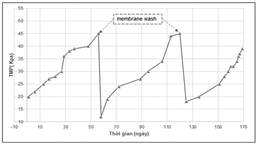 Đánh giá thích nghi sinh khối bùn và quá trình bẩn màng trong hệ Anoxic - MBR ứng dụng trong xử lý nước thải nhiễm mặn