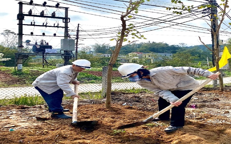 Công ty Nhiện điện Na Dương - TKV: Tích cực bảo vệ môi trường