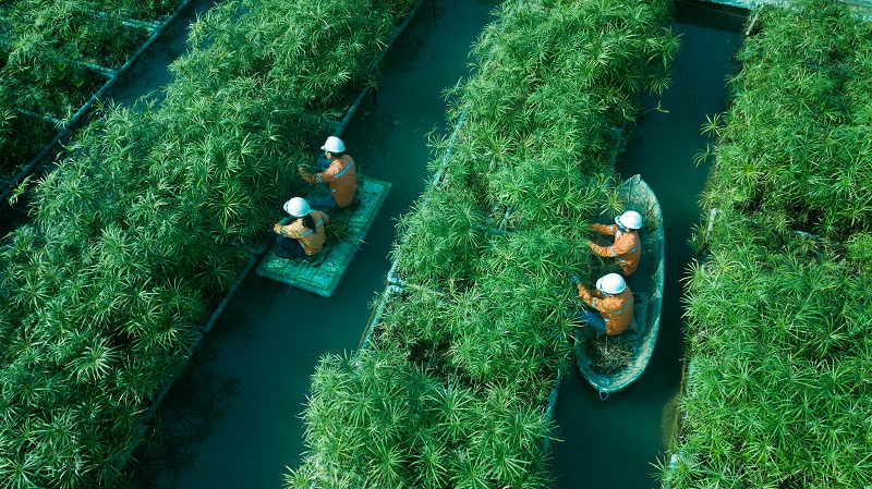 Tập đoàn Masan: Chiến lược ESG là con đường phát triển bền vững