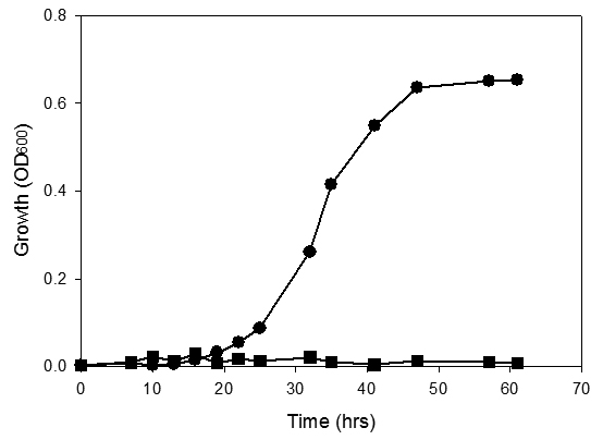 Xử lý các hợp chất hidrocarbon mạch vòng trong bùn đất bằng vi sinh vật quy mô phòng thí nghiệm