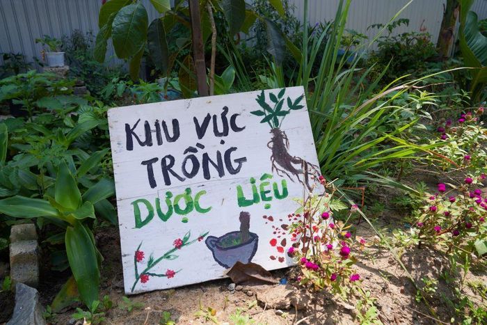 Khu vườn cộng đồng hình thành… từ rác thải