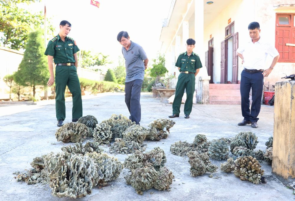 Suy giảm đa đạng sinh học tại Việt Nam đang tăng theo thời gian