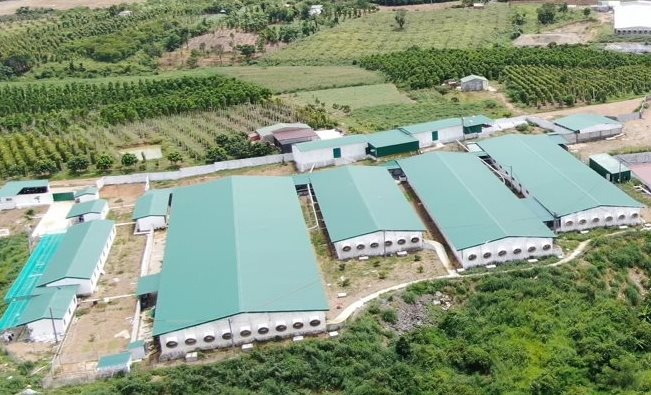 Đắk Nông: Tăng cường công tác bảo vệ môi trường để phát triển kinh tế bền vững