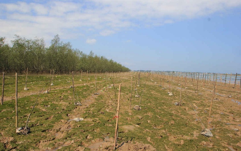 Quảng Trị: Mở lối ra biển