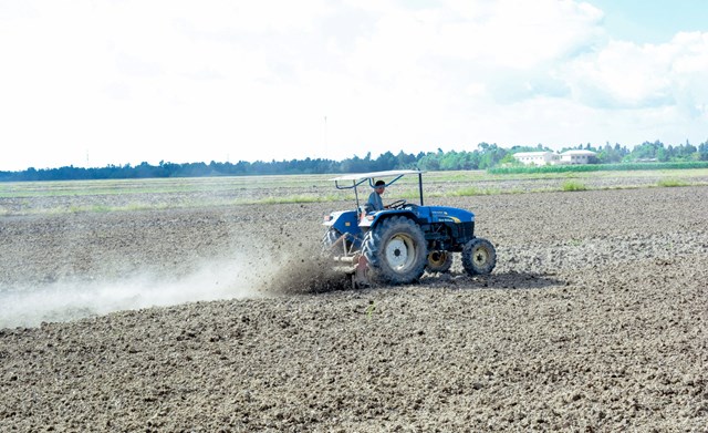 Đối phó với hạn mặn khốc liệt