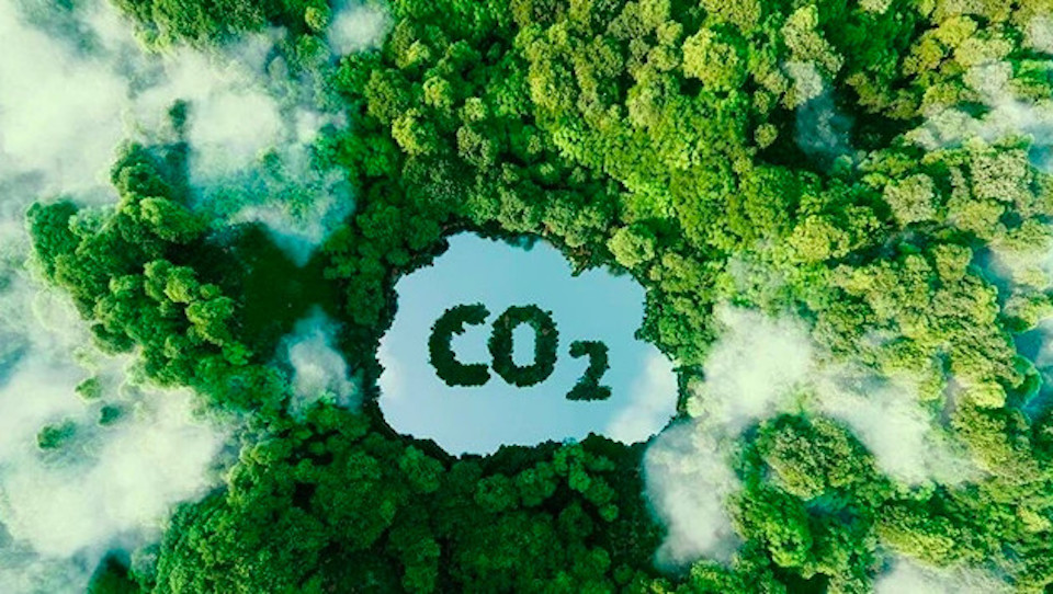 Giải pháp thúc đẩy thị trường tín chỉ carbon tại Việt Nam