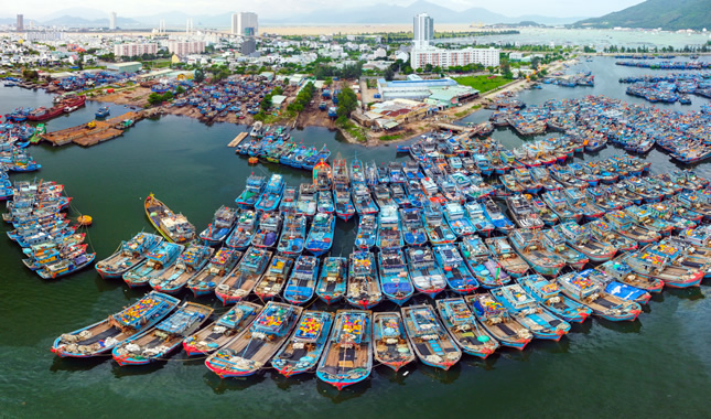 Năm 2025 sẽ xóa điểm nóng ô nhiễm môi trường tại âu thuyền Thọ Quang