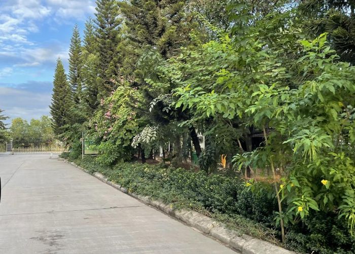 Đưa công viên vào trong nhà máy