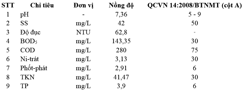 Hiệu quả xử lý nước thải sinh hoạt của bể bùn hoạt tính có và không bổ sung giá thể pe 09