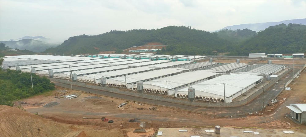 Dân bức xúc vì dự án nuôi lợn công nghệ cao gây ô nhiễm