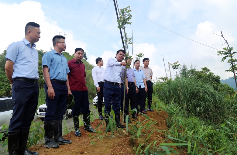 Bí Thư Tỉnh ủy tỉnh Lào Cai kiểm tra công tác khắc phục sự cố hồ đập tại xã Tả Phời