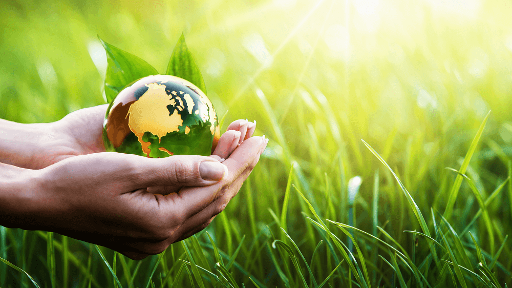 Hoàn thiện pháp luật về tội gây ô nhiễm môi trường