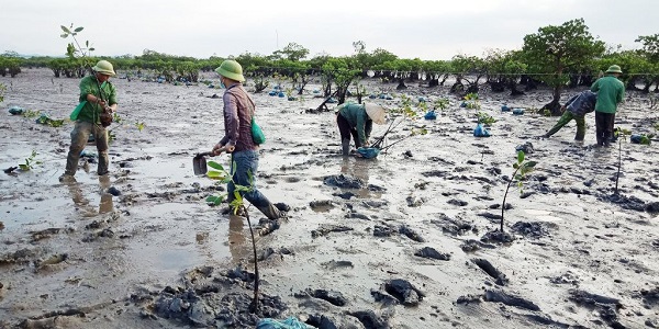 Xây dựng, thực hiện các chiến lược, hành động giảm phát thải khí nhà kính