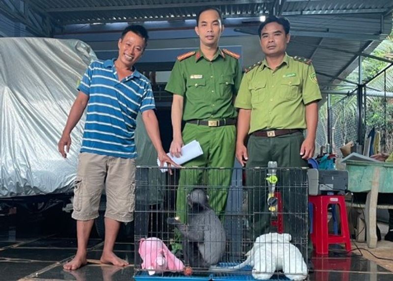 Bình Phước: Người dân tự nguyện giao nộp voọc chà vá chân đen quý hiếm, nguy cấp