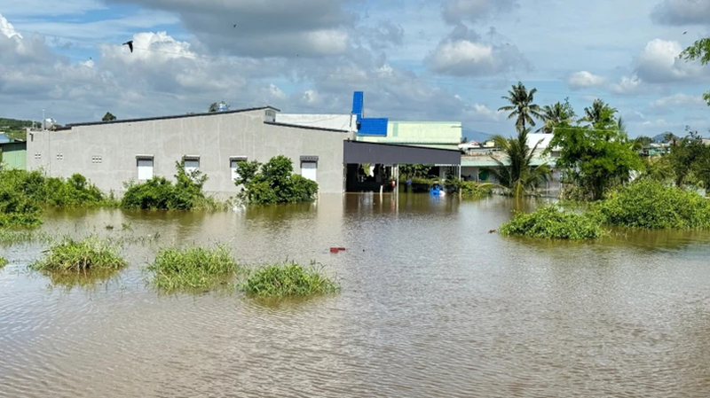 Bình Thuận: Nước dâng gây ngập 3 xã, hơn 230 nhà và 400ha hoa màu