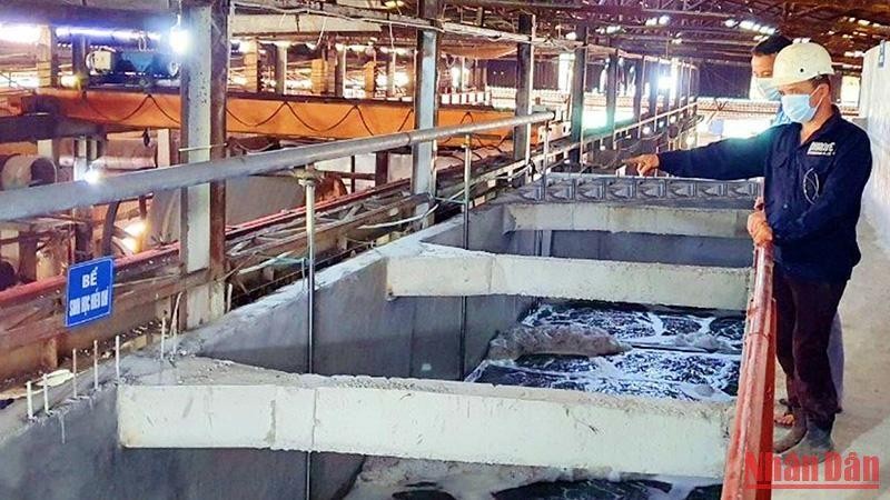 Nỗ lực cải thiện môi trường các làng nghề