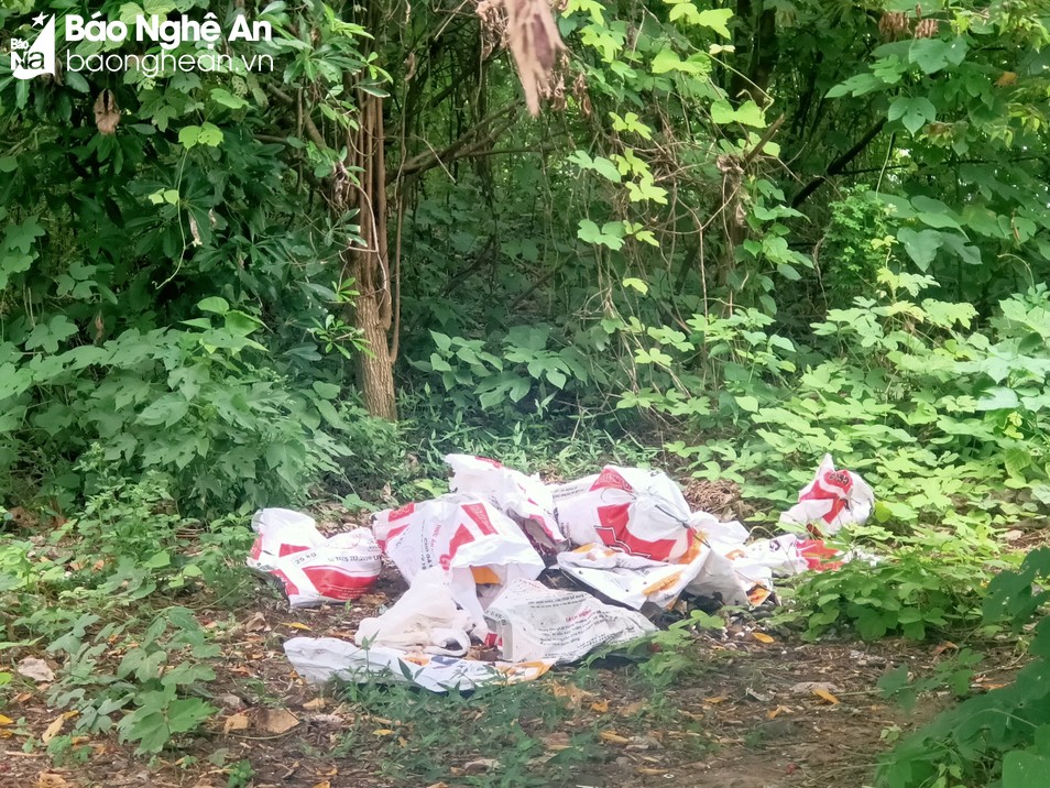 Người dân thành phố Vinh 'kêu trời' vì trang trại chăn nuôi gây ô nhiễm