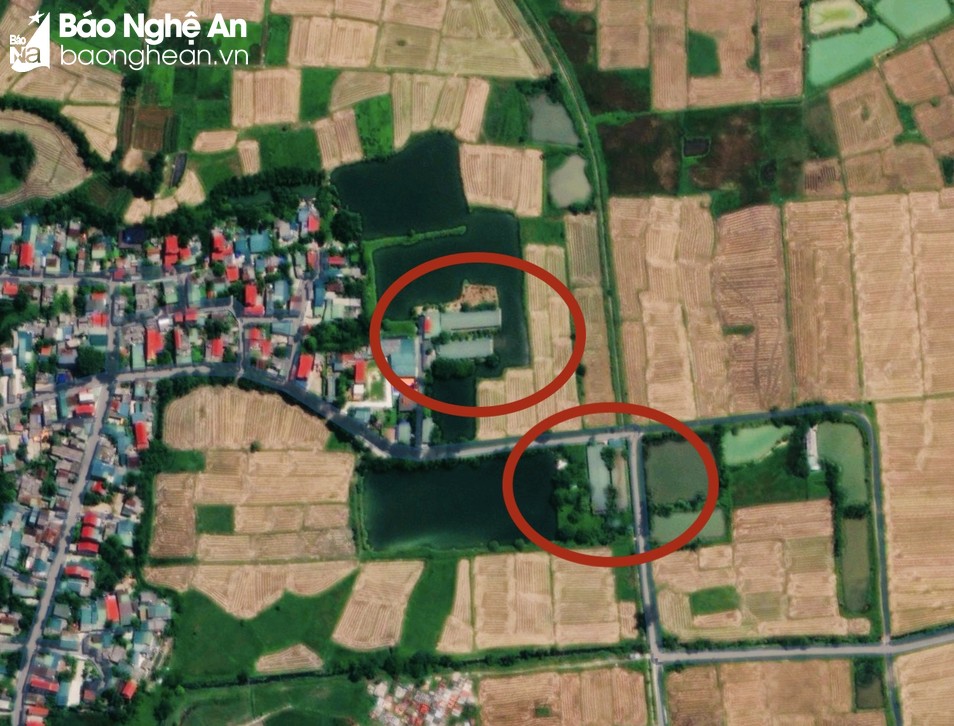 Người dân thành phố Vinh 'kêu trời' vì trang trại chăn nuôi gây ô nhiễm