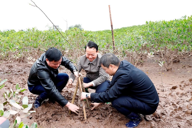 Bộ TN&MT phát động “Tết trồng cây đời đời nhớ ơn Bác Hồ” tại Thái Bình